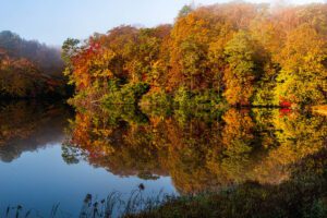fall at lake anna virginia