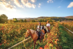 charlottesville horseback riding